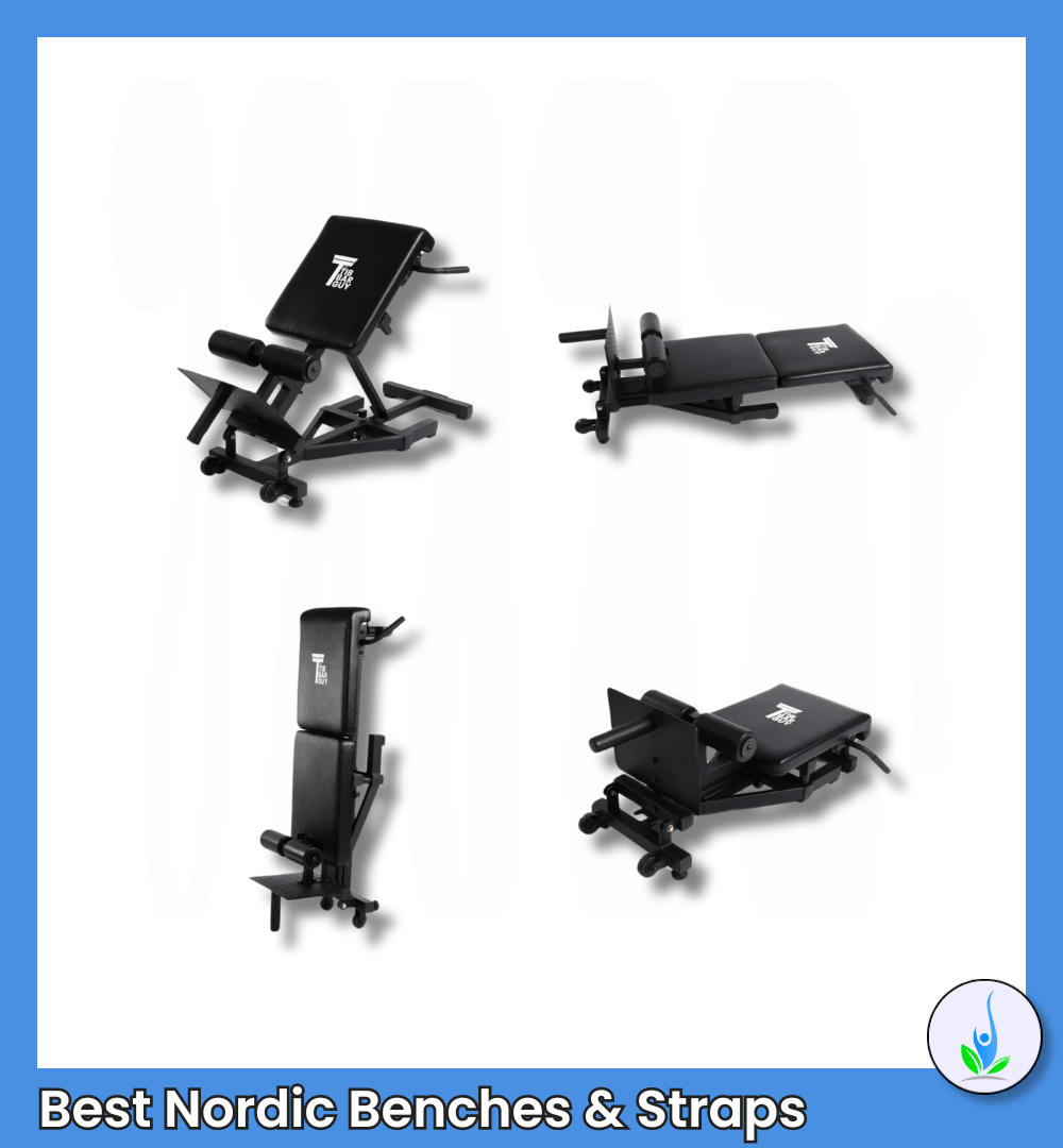 The Nordic Back Extension Machine