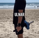 An exercise physiologist guide to wrist exercise equipment