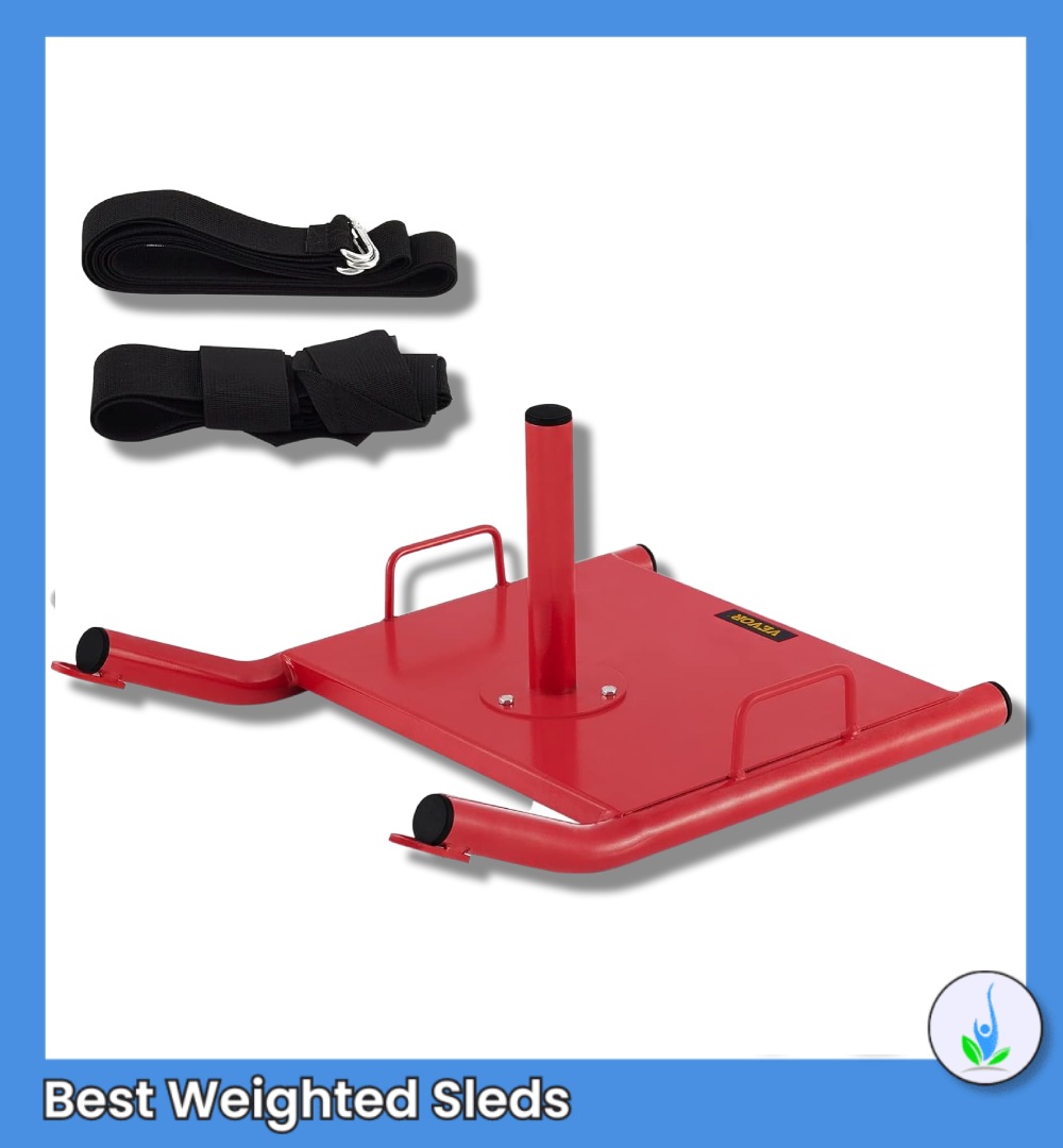 Best Cheap Weighted Sled