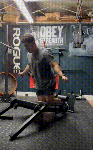 Demo Using The Nordic Pro Mini Client