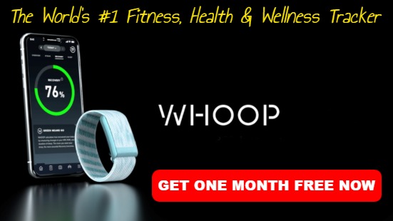 Best Fitness Tracker For Seniors